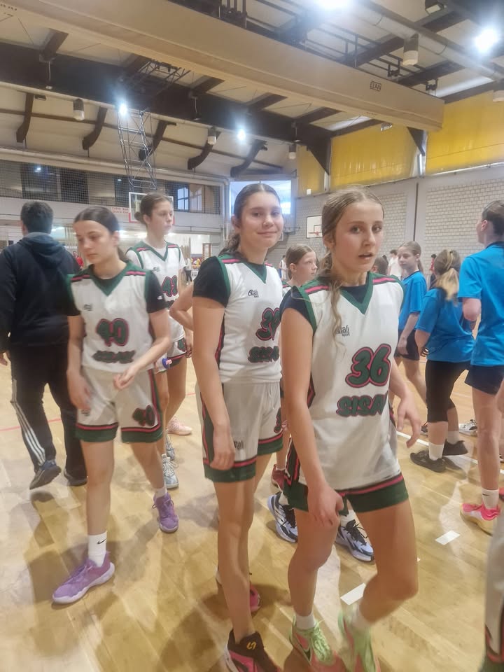 Školski sportski savez SMŽ