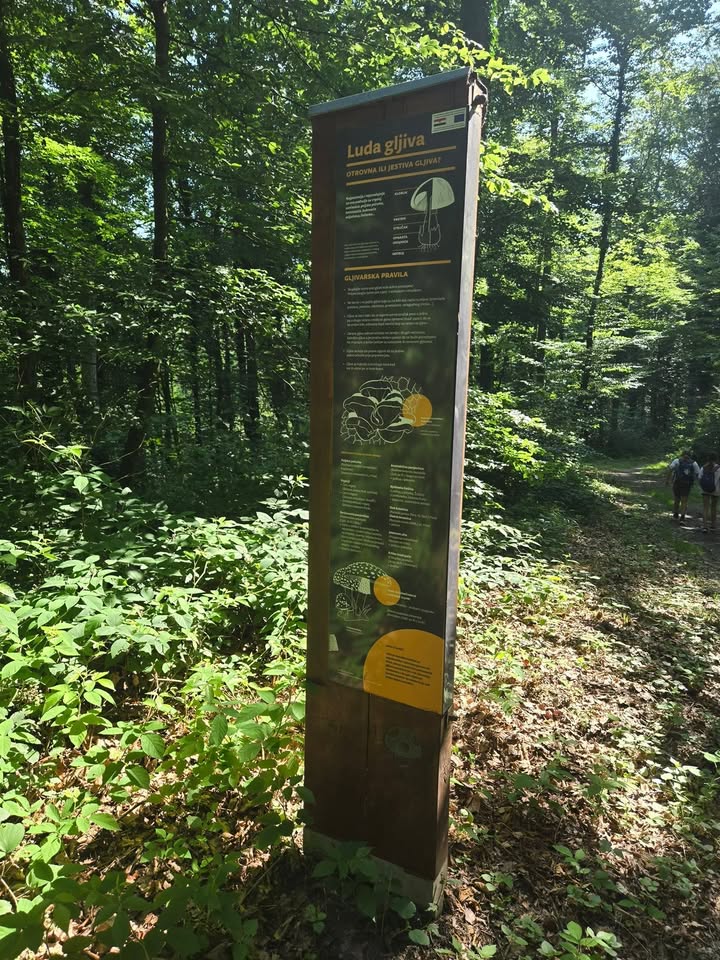 Školski sportski savez SMŽ