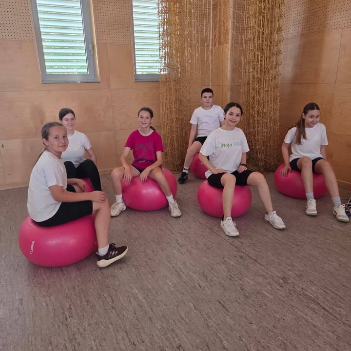 Školski sportski savez SMŽ